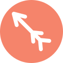 flecha icon