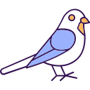 pájaro icon