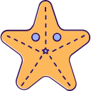 estrella de mar 