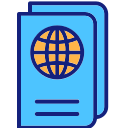 pasaporte icon