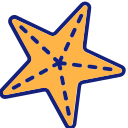 estrella 