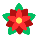 flor de nochebuena icon