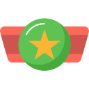 svg icon