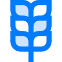 trigo icon