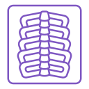 X ray 