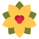 flor de nochebuena icon