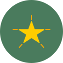 estrella icon