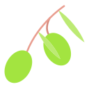 aceituna icon