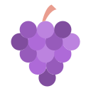 uvas icon