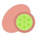 kiwi icon