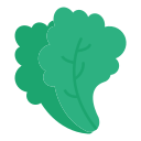 lechuga icon