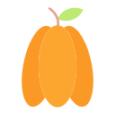 carambola icon