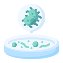 bacterias icon