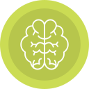 cerveau