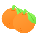 naranja icon