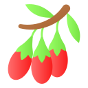 goji icon