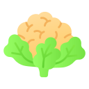 coliflor icon