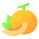 melón icon