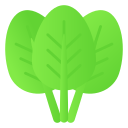 espinaca icon