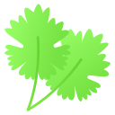 cilantro icon