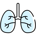 pulmones icon