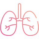 pulmones