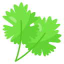 cilantro icon