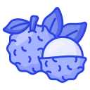 lychee icon