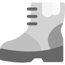 bota icon