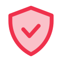 seguridad icon