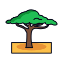 acacia icon