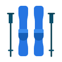 Skii icon