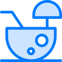 coco icon