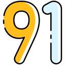 91 icon