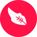 pluma icon