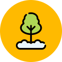 Árbol icon