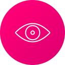 ojo icon