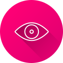 ojo icon