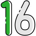 16 icon