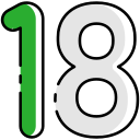 18 icon