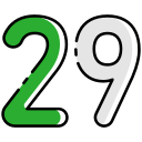 29 icon