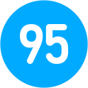 95 icon