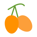 naranja china icon