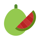 pomelo icon