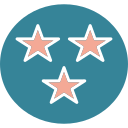 estrellas de calificación icon