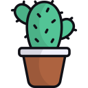 cactus icon