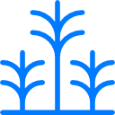 palmera icon