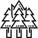재앙 