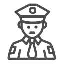 seguridad icon