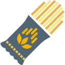 pasta icon